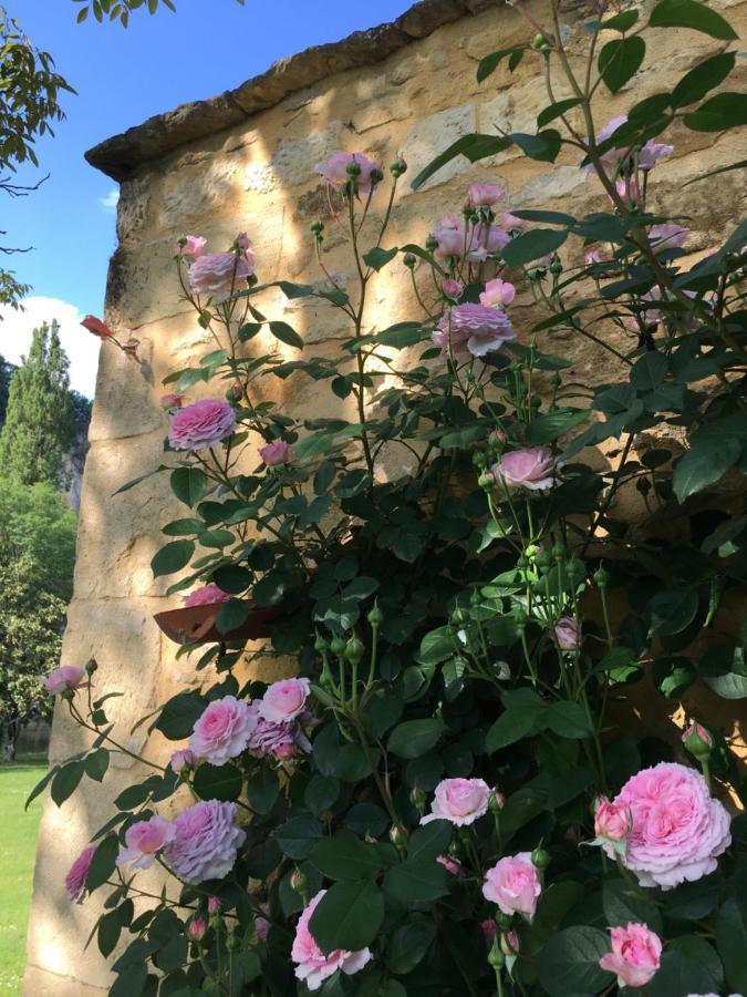 Bed and Breakfast Par La Riviere La Roque-Gageac Exterior foto